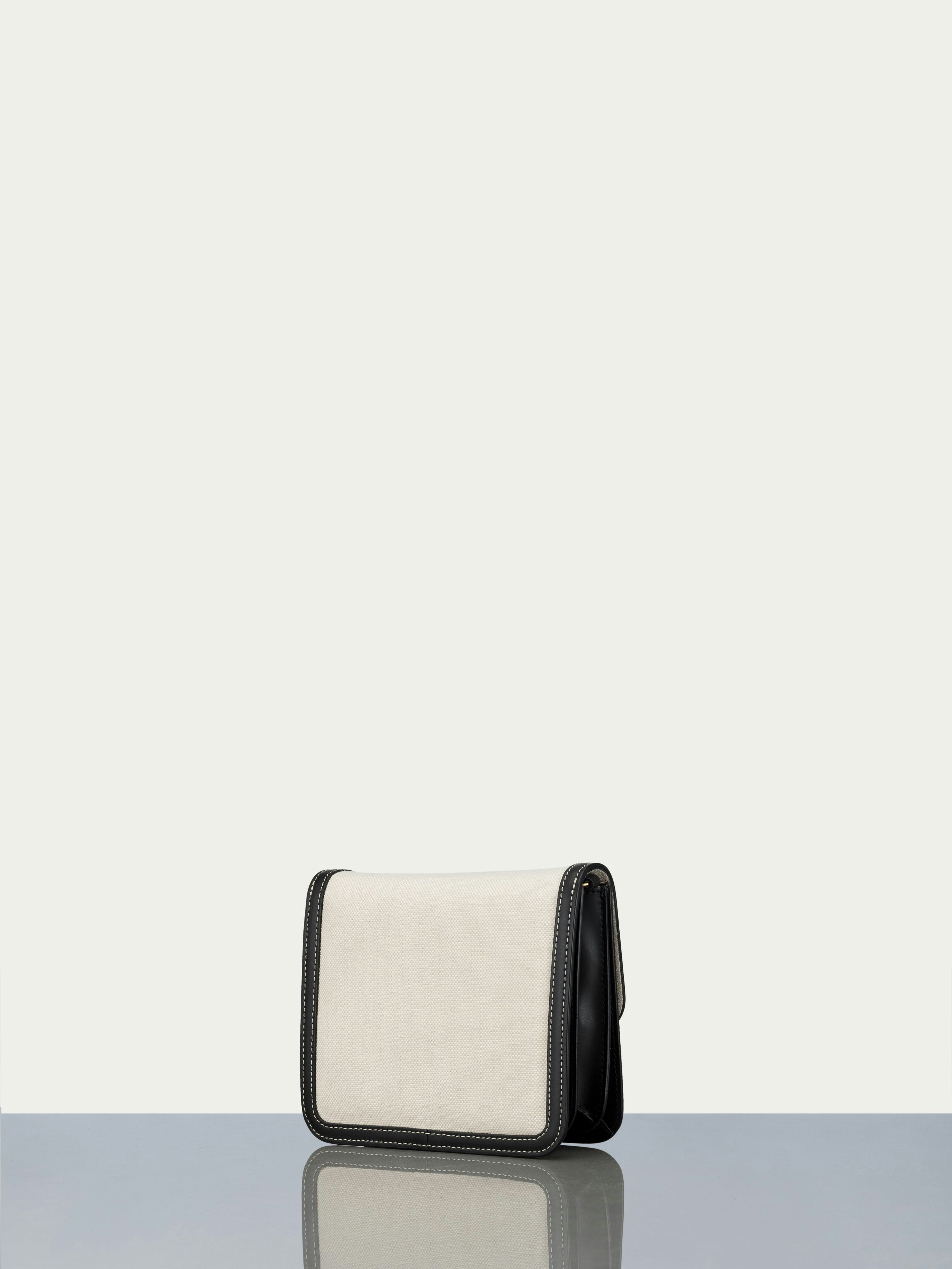 handbag back view